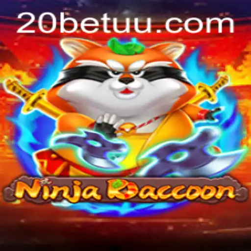 NinjaRaccoon: Enter the World of Agile Adventures